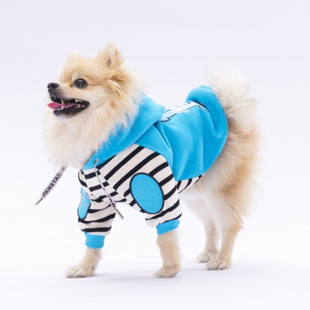 PawStar Turkuaz Lucky Club Hoodie Küçük ve Orta Irk