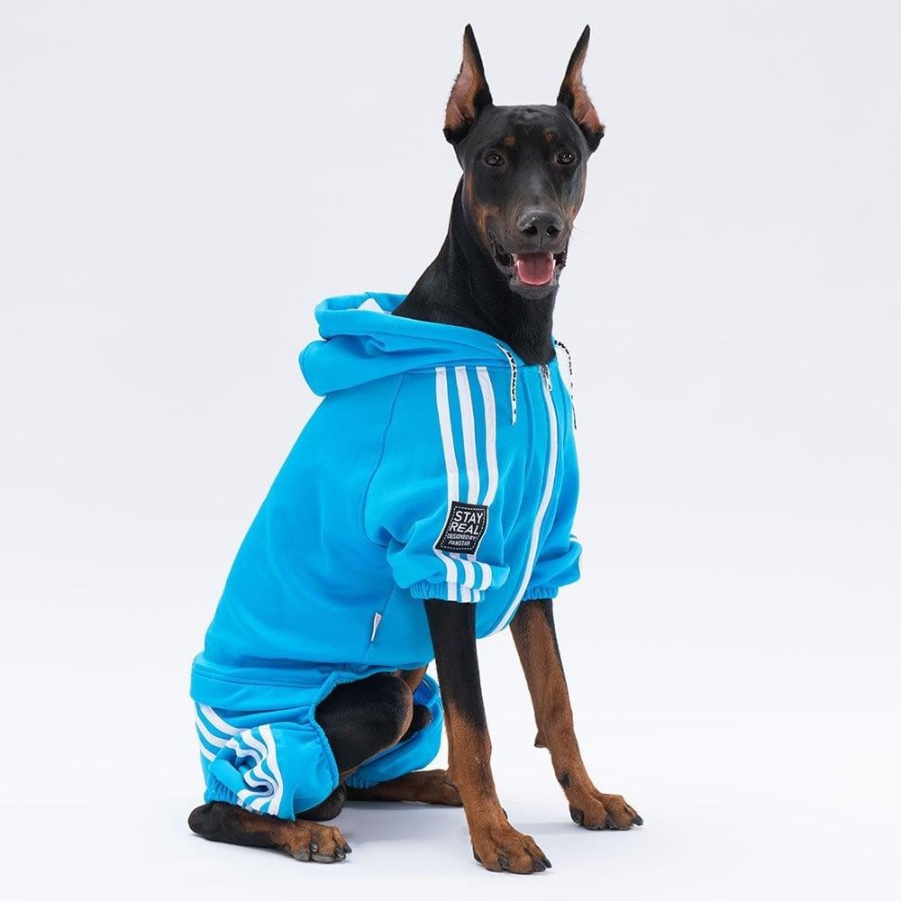 PawStar Turquoise Tuta Large Breed Overalls
