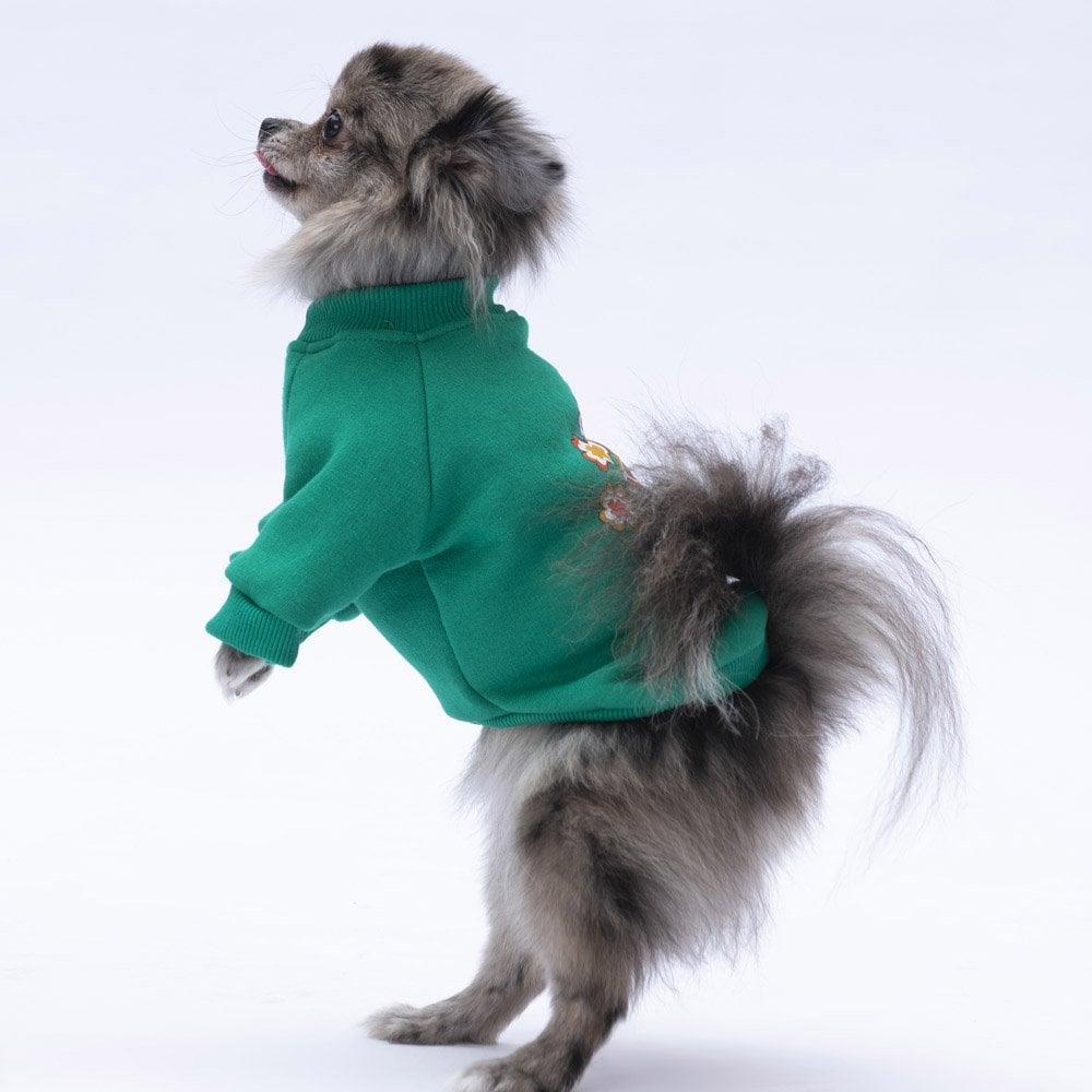 PawStar Yeşil Chogqing Sweat Küçük ve Orta Irk