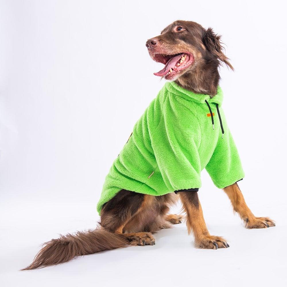 PawStar Yeşil Just Be Cool Büyük Irk Sweat