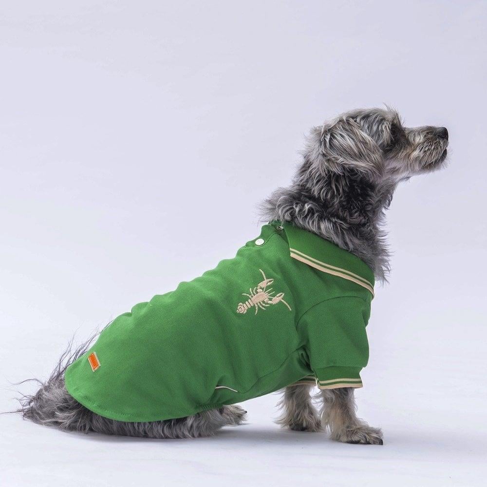 PawStar Green Marine Polo Neck T-Shirt