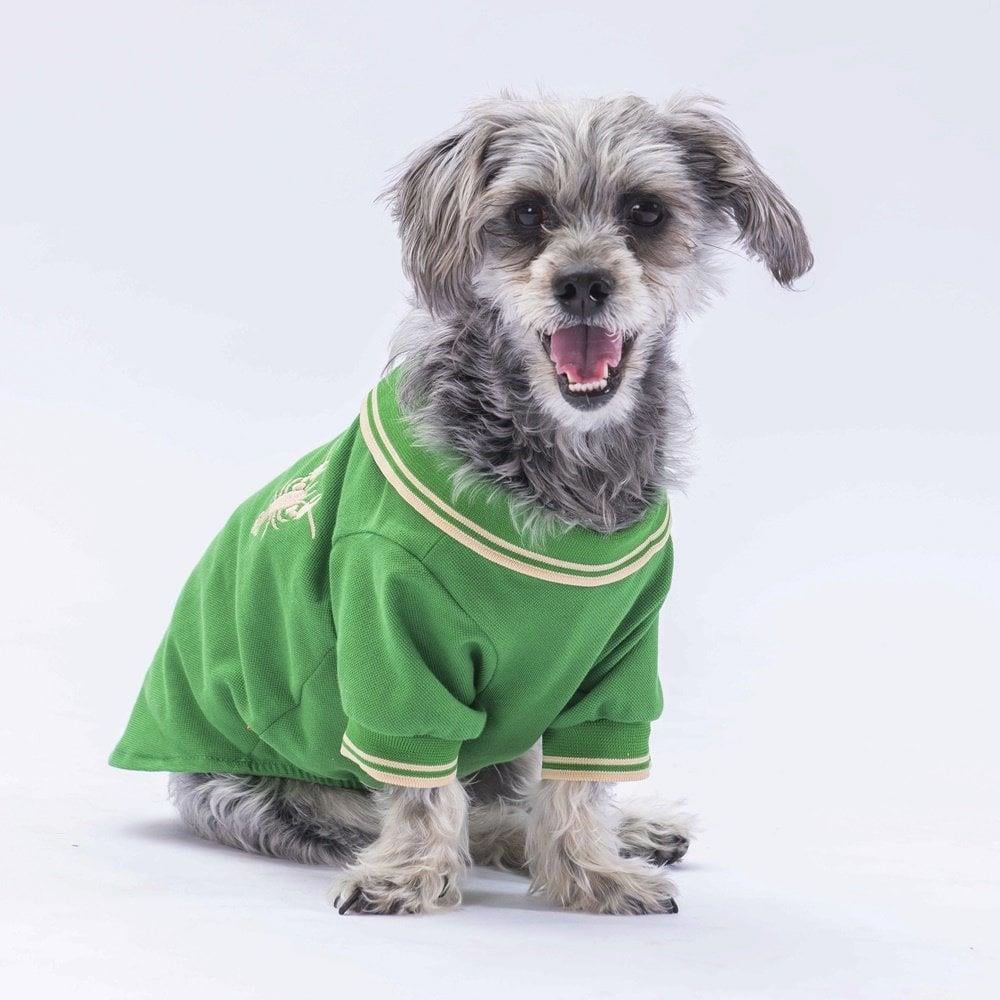 PawStar Green Marine Polo Neck T-Shirt