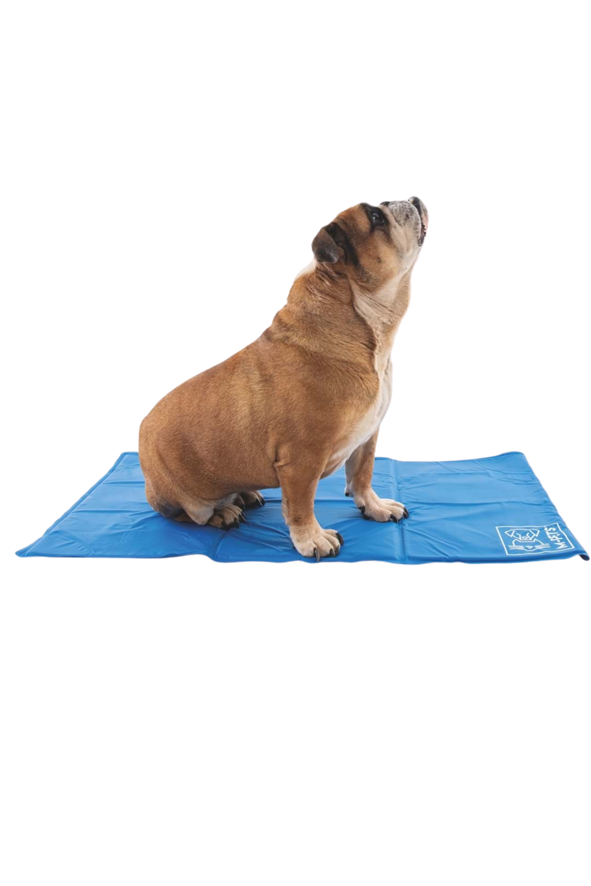 M-Pets Frozen Köpek Serinletici Mat