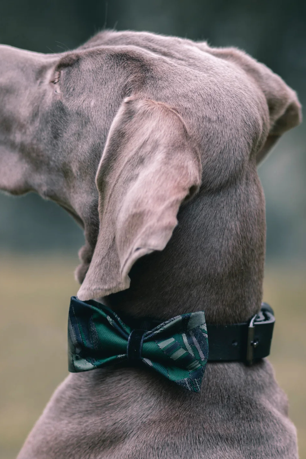 Green Navy Satin Bow Tie Geometrics