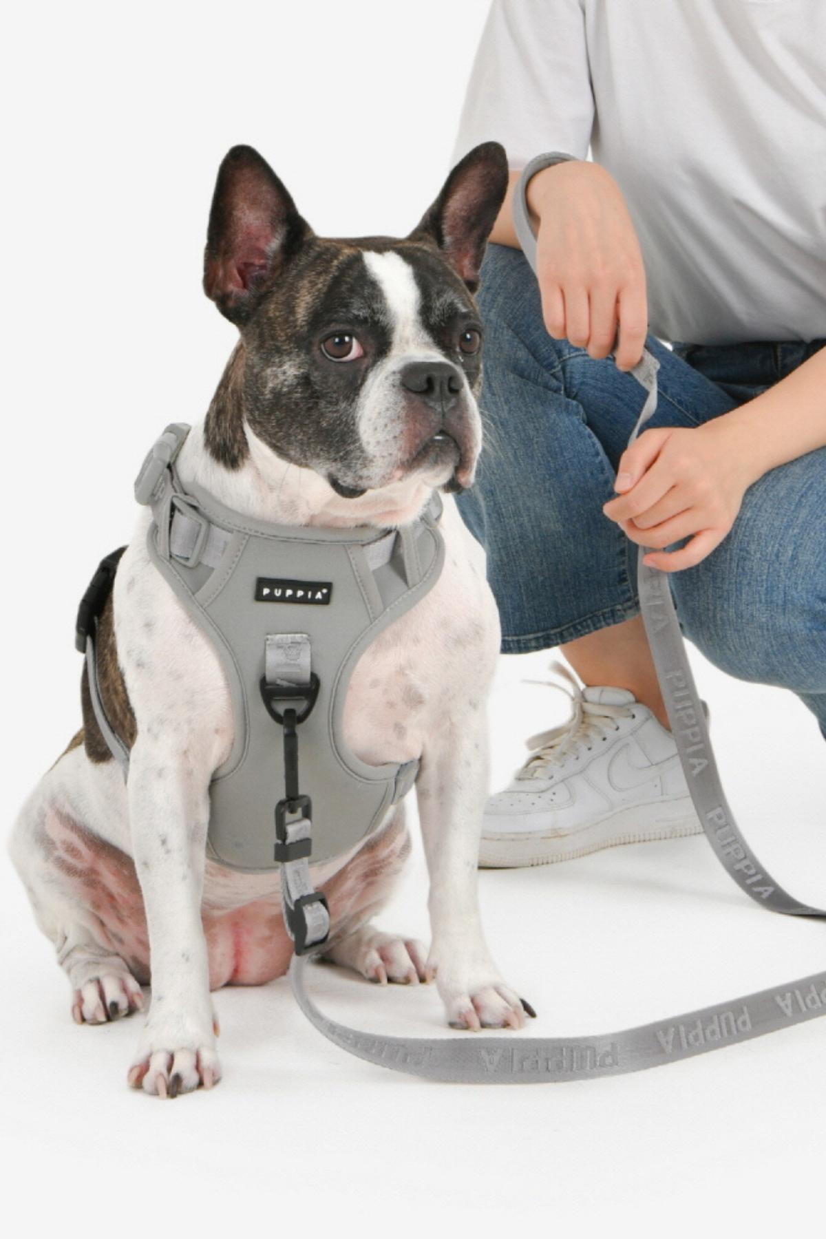 Jarek Harness H tipi Köpek Göğüs Tasması Gri 