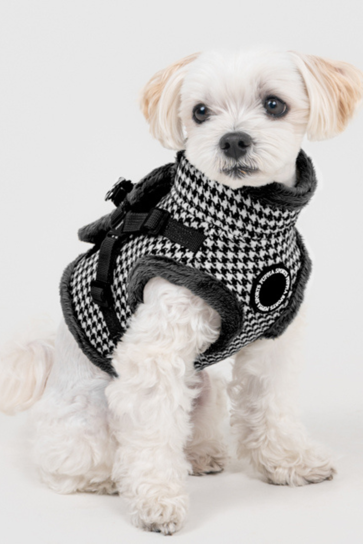 Puppia Chic Hound Harness V Köpek Göğüs Tasması Siyah