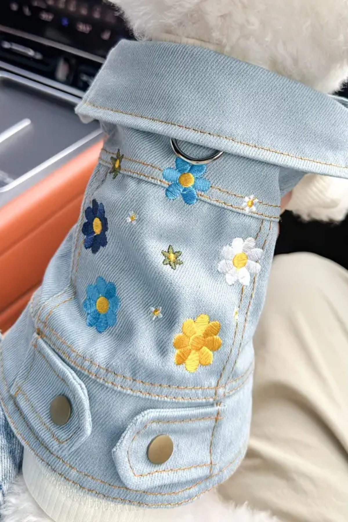 DolcePet Flower Kot Ceket