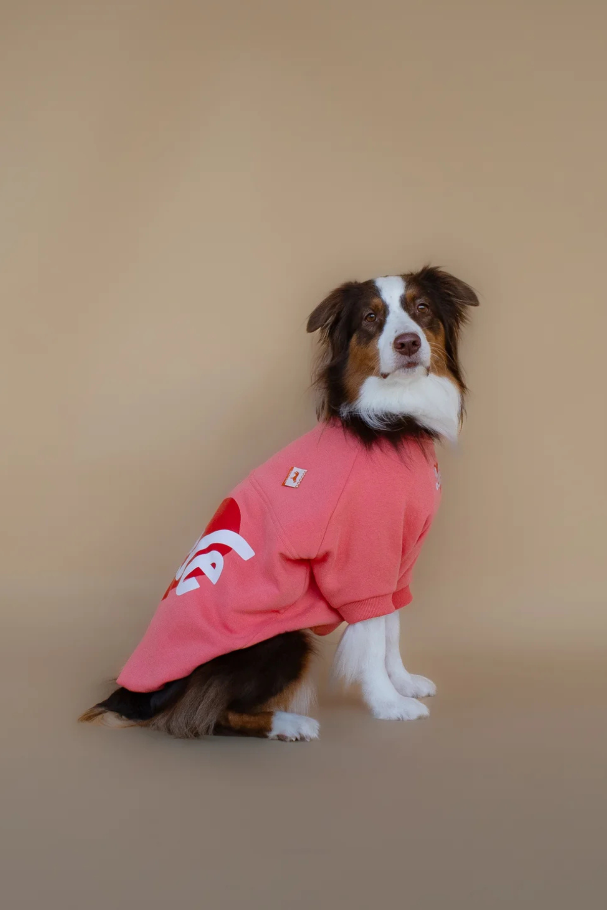 Asky&Erd Love Sweatshirt | Coral Rose