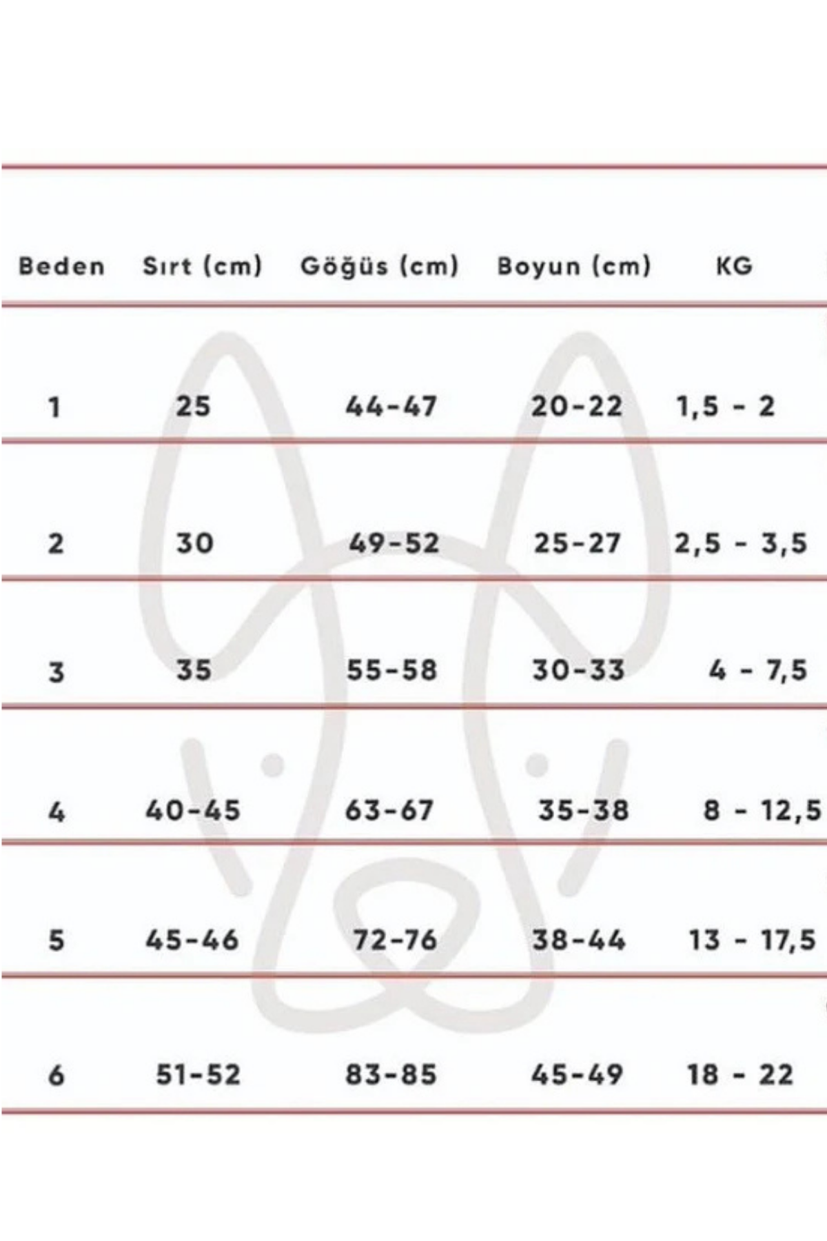 Apac.co Çiçekli Köpek Kazak Bej 