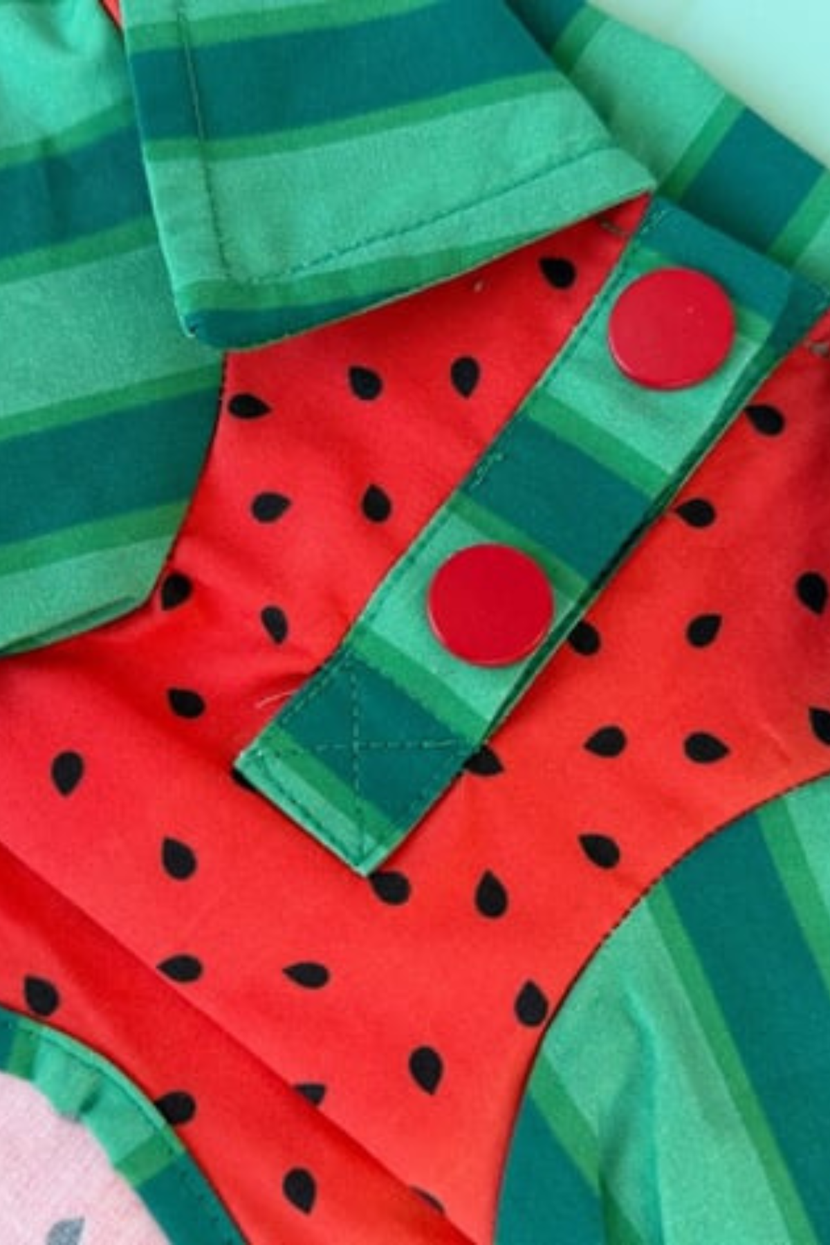 Lolidogs Köpek Gömleği Watermelon Girl