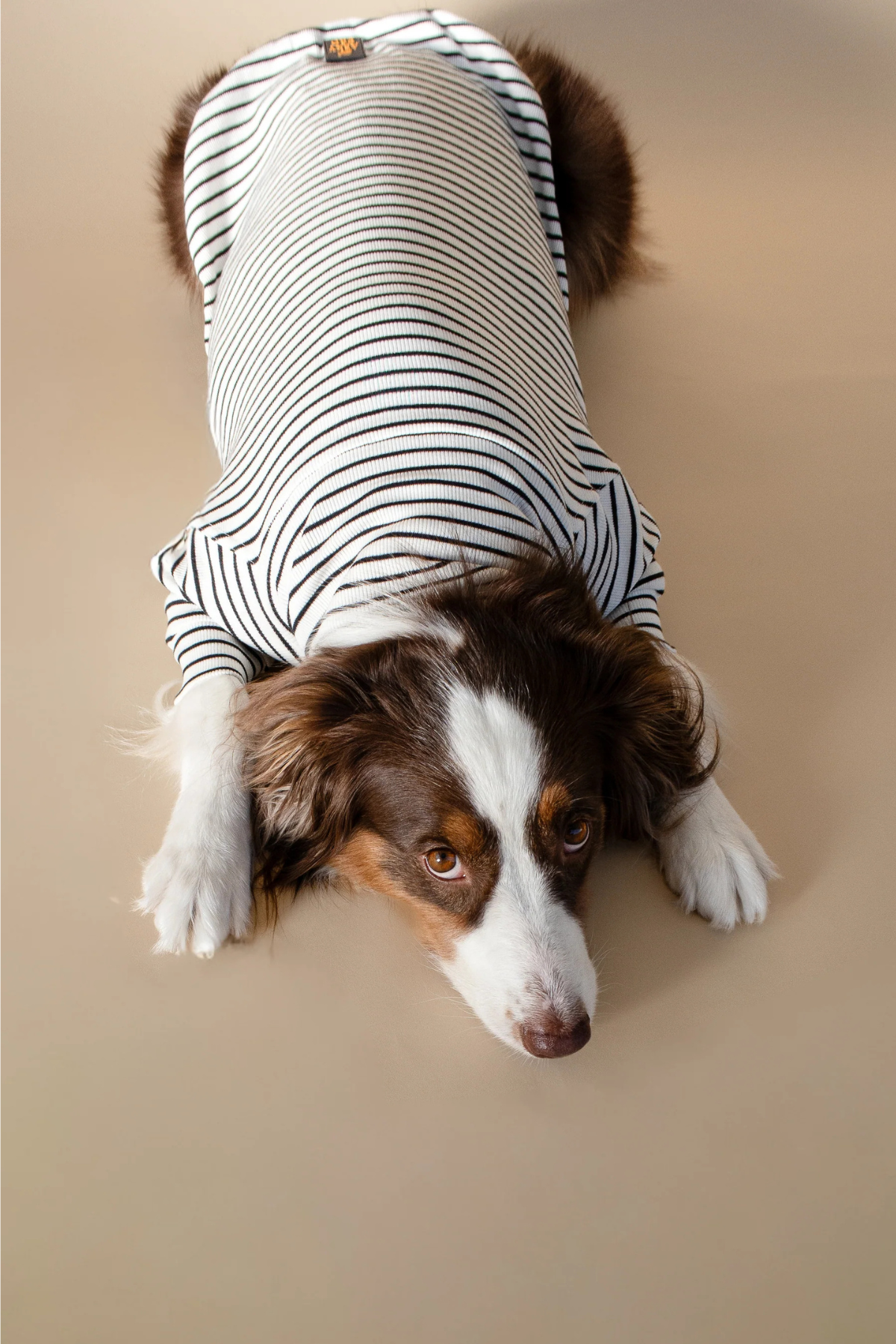 Asky&Erd Turtleneck Tshirt | Classic Stripe
