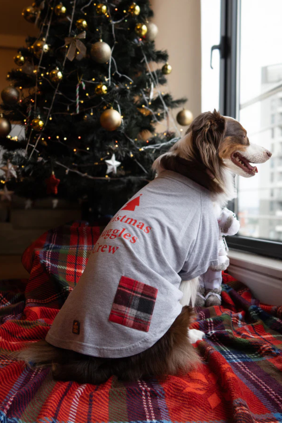 Asky And Erd Christmas Snuggles Crew Tshirt Winter Fog