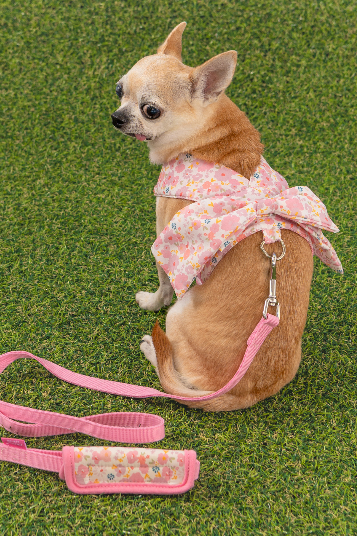 Pinkaholic New York Amabel Harness Köpek Göğüs Tasması Pembe 