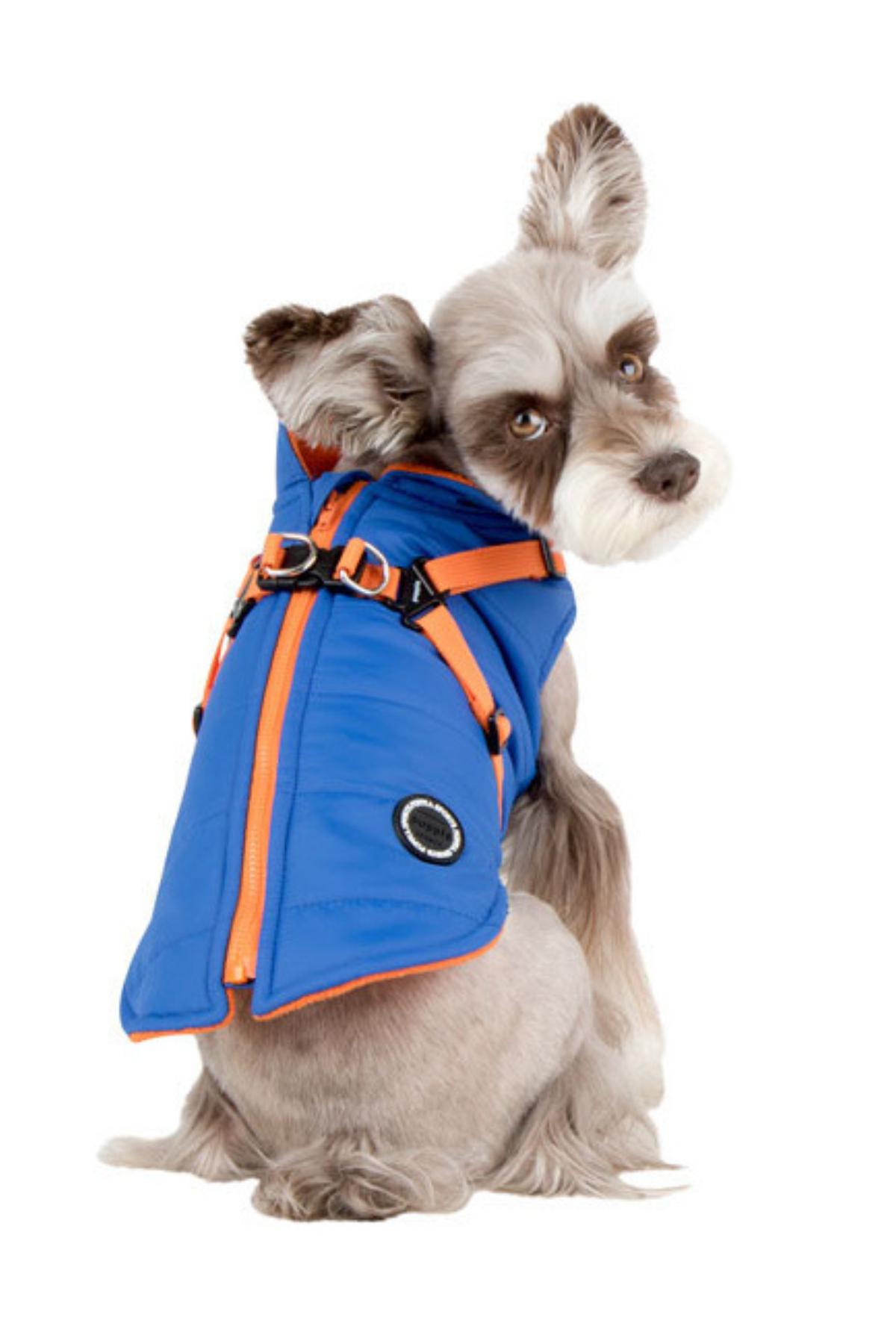 Puppia Mountaineer II Köpek Montu Mavi