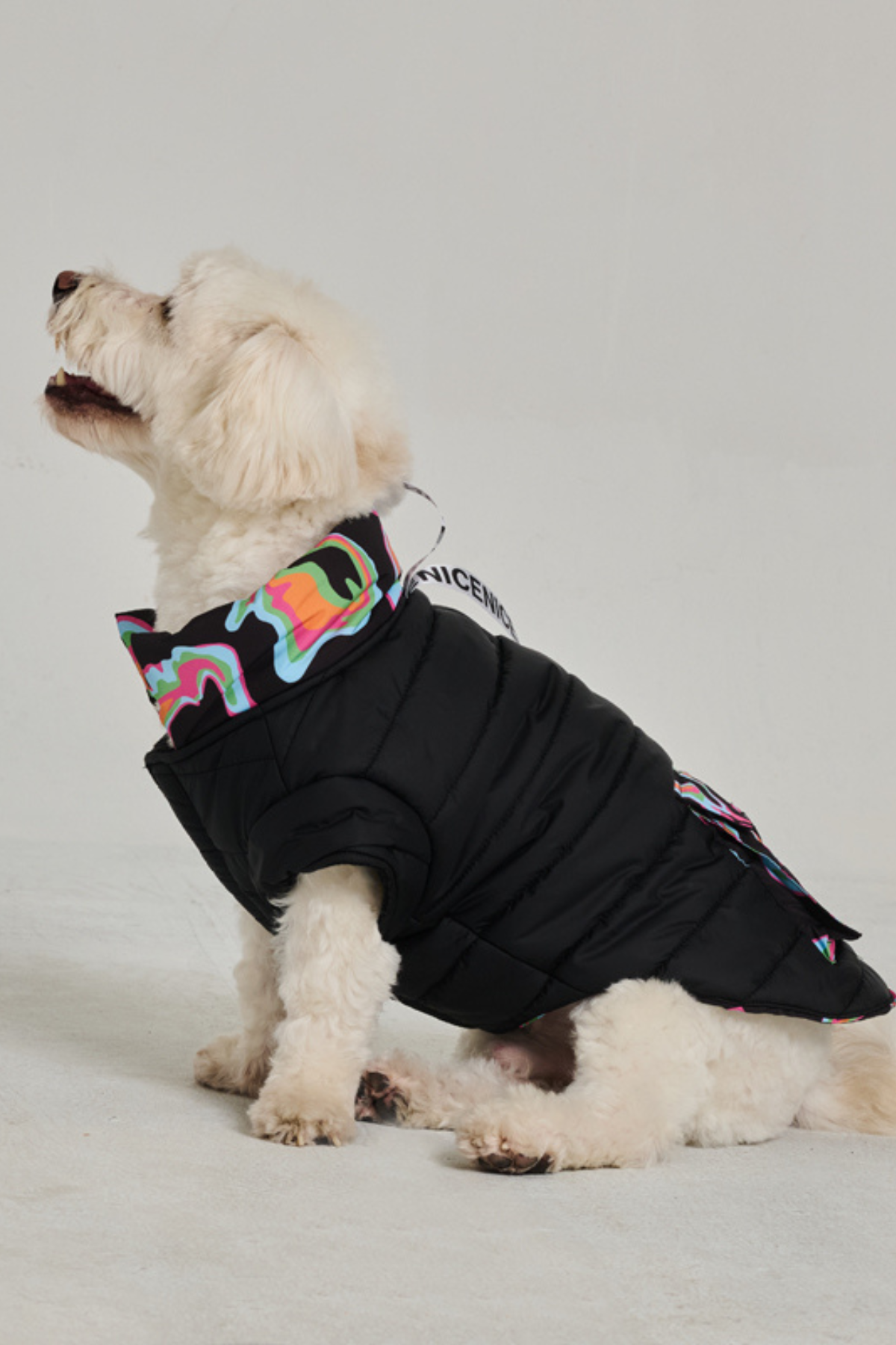 Godoist Köpek Montu Polar - Puffer Series - Funy Black