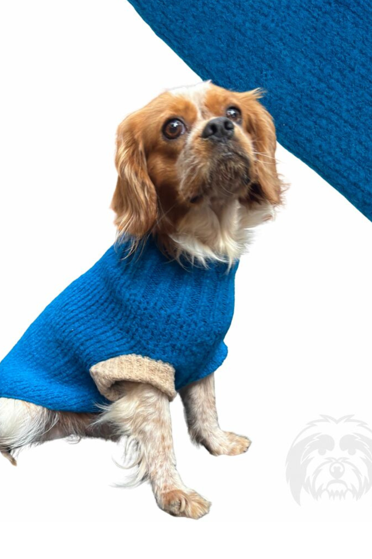 Suchkin Hole Blue (New) Köpek Kazağı