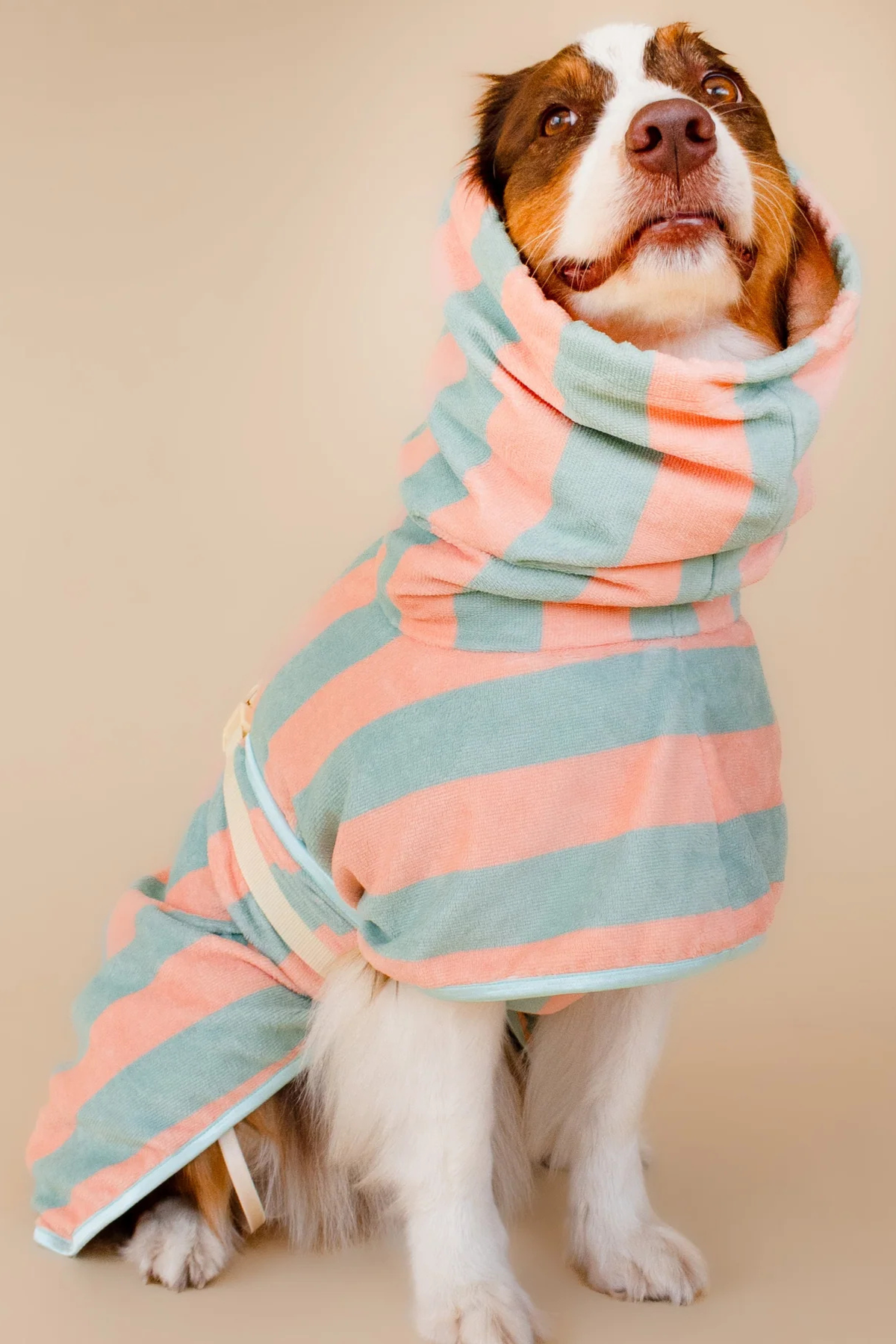 Asky&Erd Soft Rituals Cepli Köpek Kurulama Havlusu Deniz Köpüğü ve Somon Rengi Çizgili Pijamalar ve Bornozlar