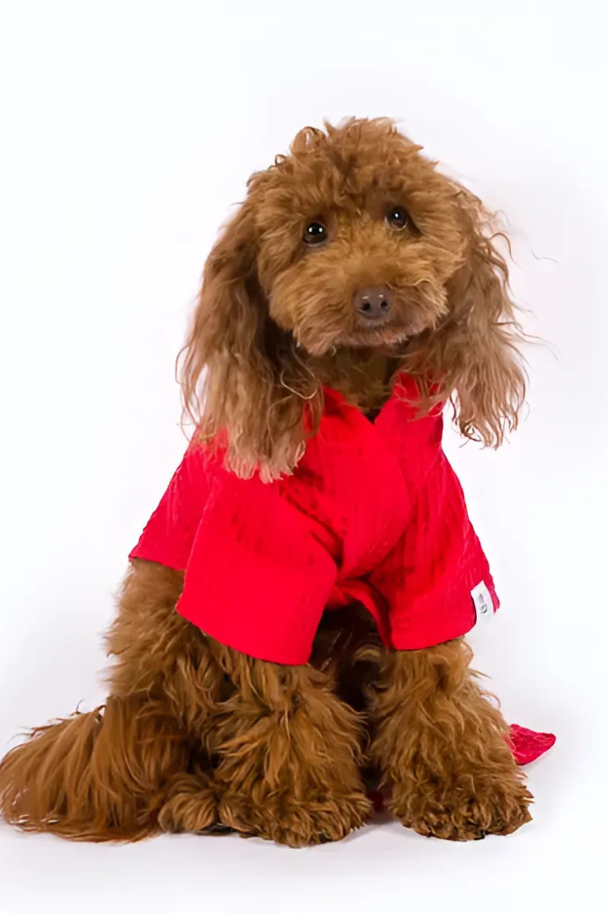 Kajuland Pacific | Waffle Köpek Bornozu Kırmızı