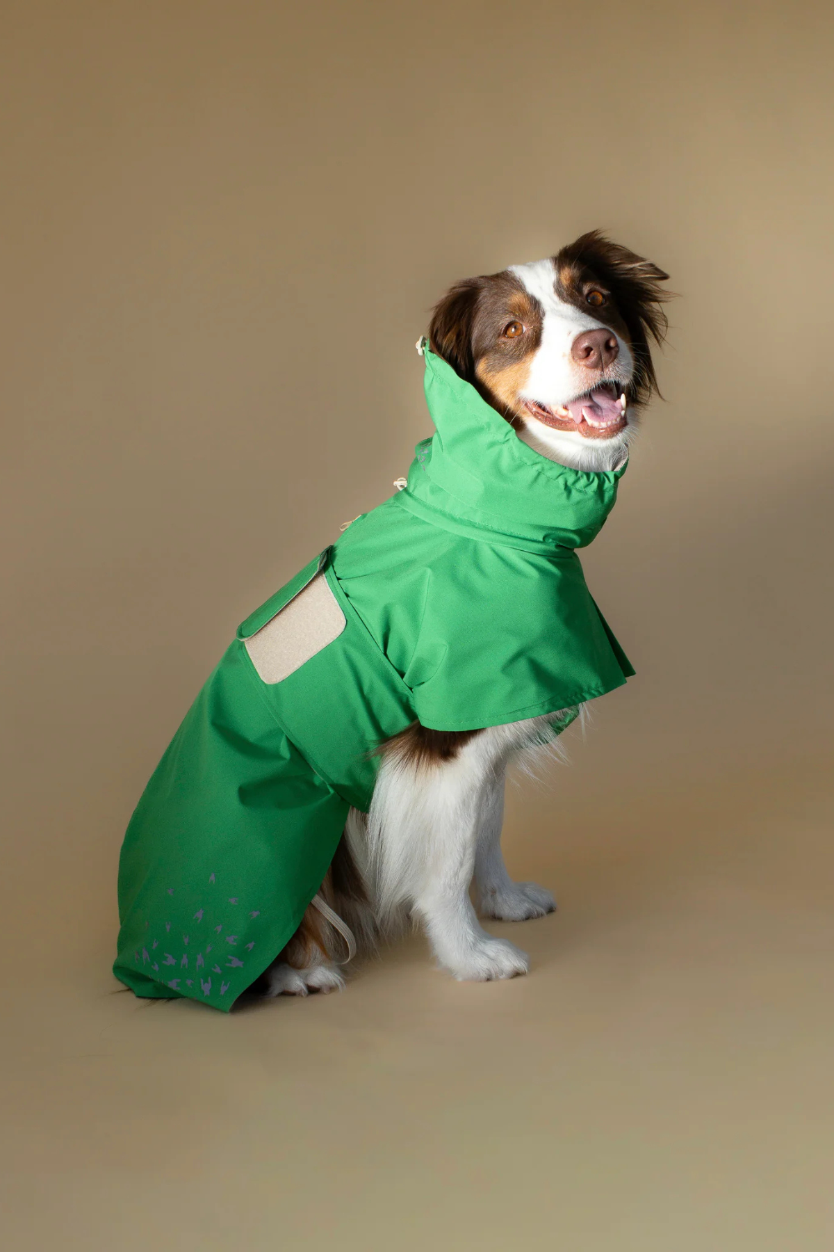 Seattle Raincoat | Evergreen
