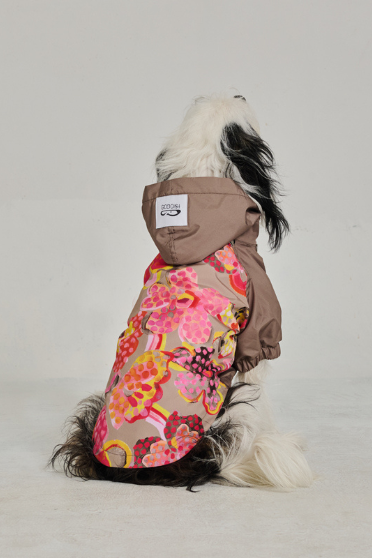 Godoist Köpek Yağmurluk - Raincoat Series - Marji