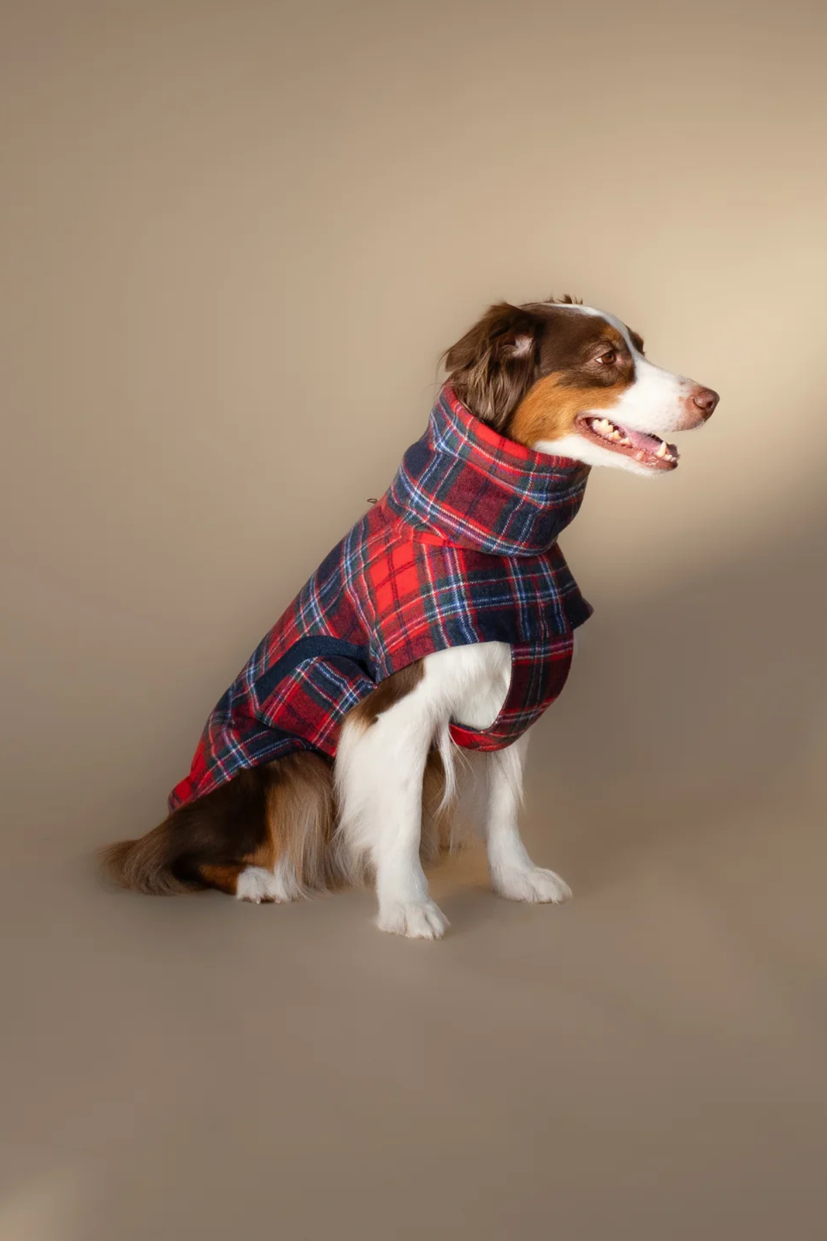 Asky&Erd Chicago Vest Crimson Tartan Plaid 