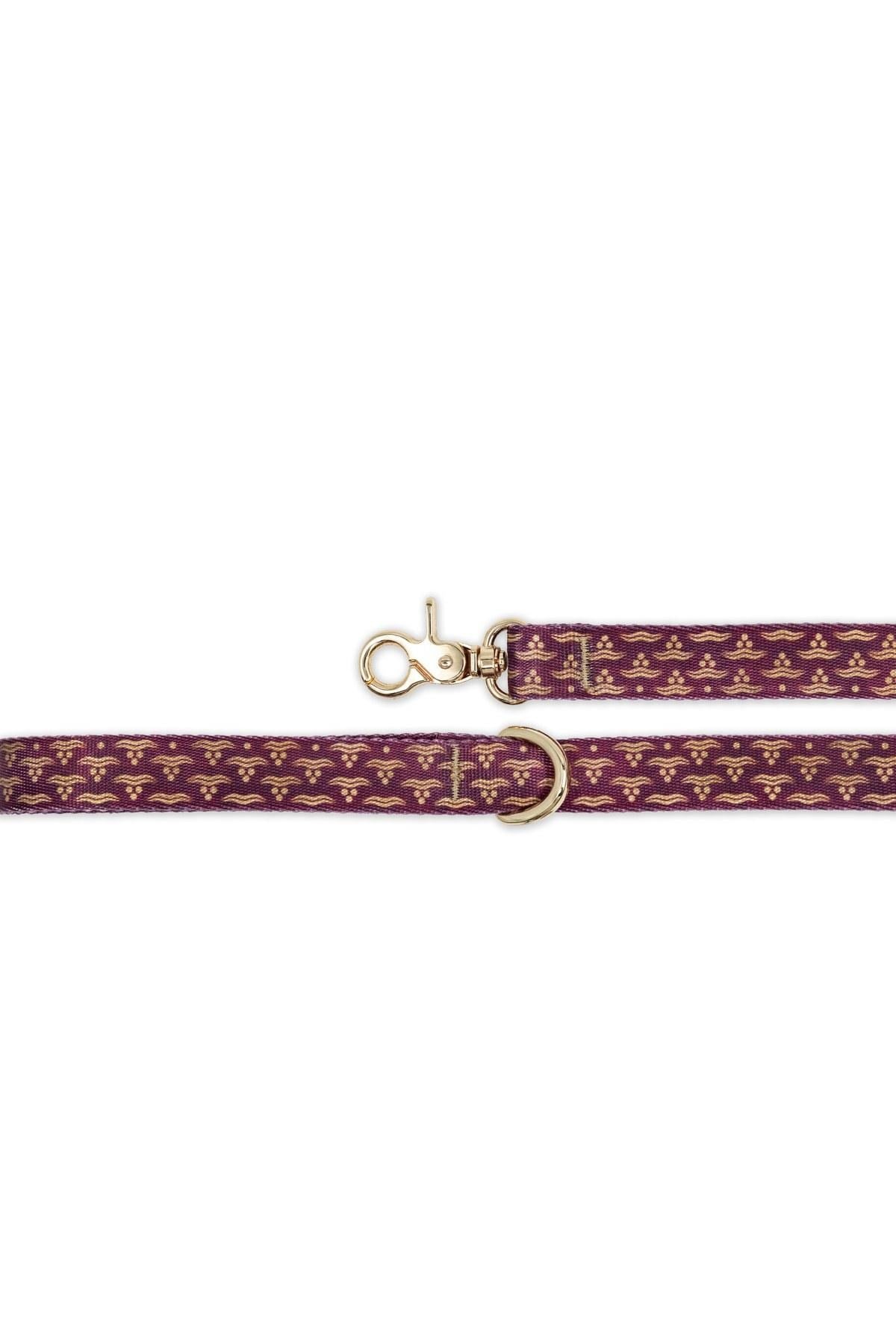 Lupinus Atelier Ductus Cerasus x Chintamani Köpek Gezdirme Kayışı