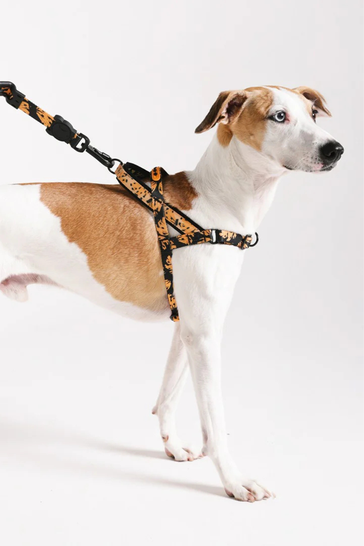 Zee.Dog Bossa Banana Softer Walk Köpek Göğüs Tasması - FARM Rio