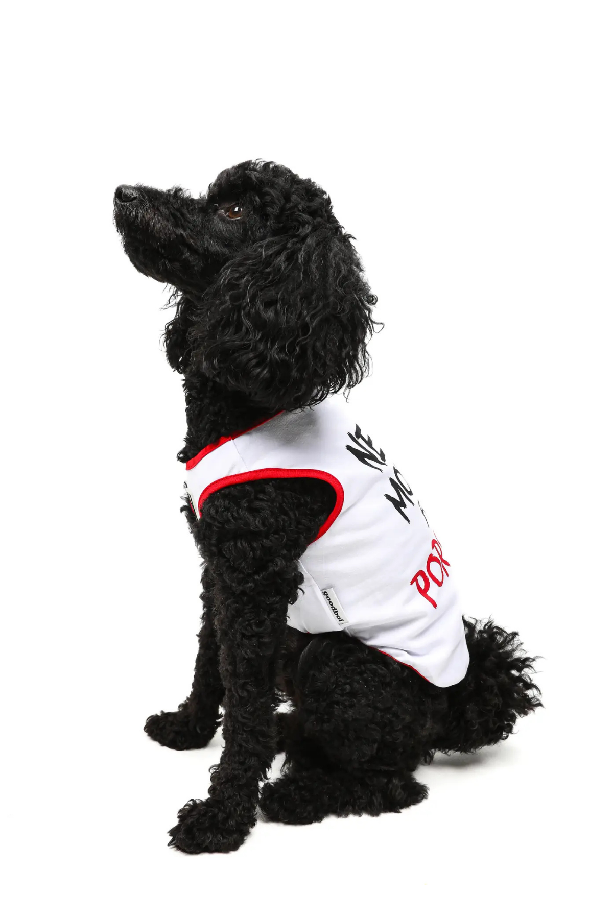 Goodboi Need Money For Porsche Atlet