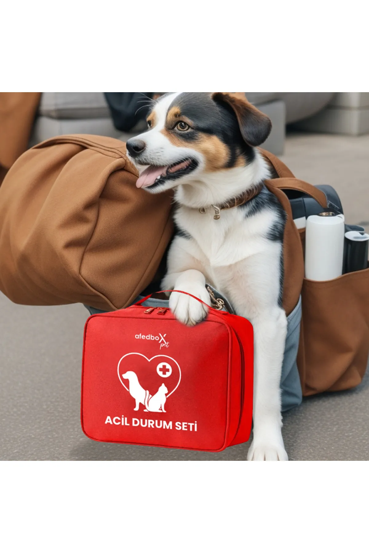 Afedbox Evcil Hayvan Ilk Yardım Seti