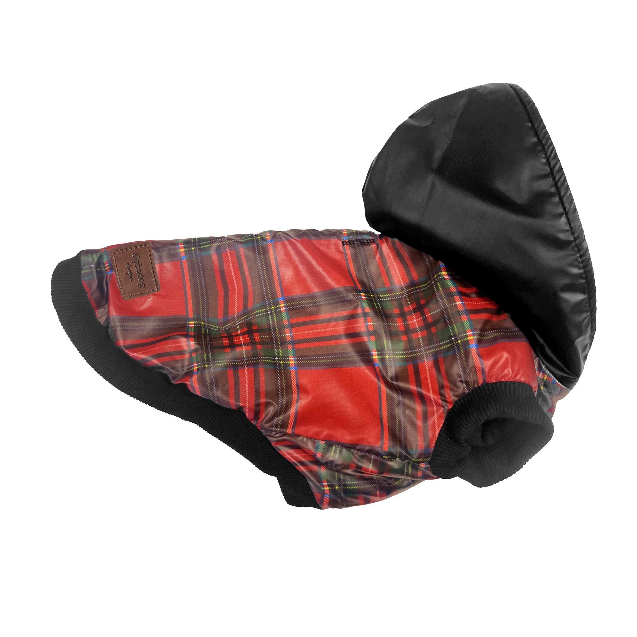 Alphadog College Köpek Montu