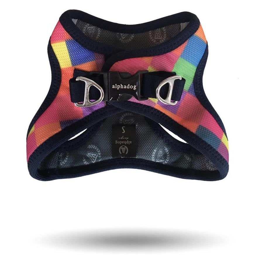 Alphadog Colourbox Köpek Göğüs Tasması