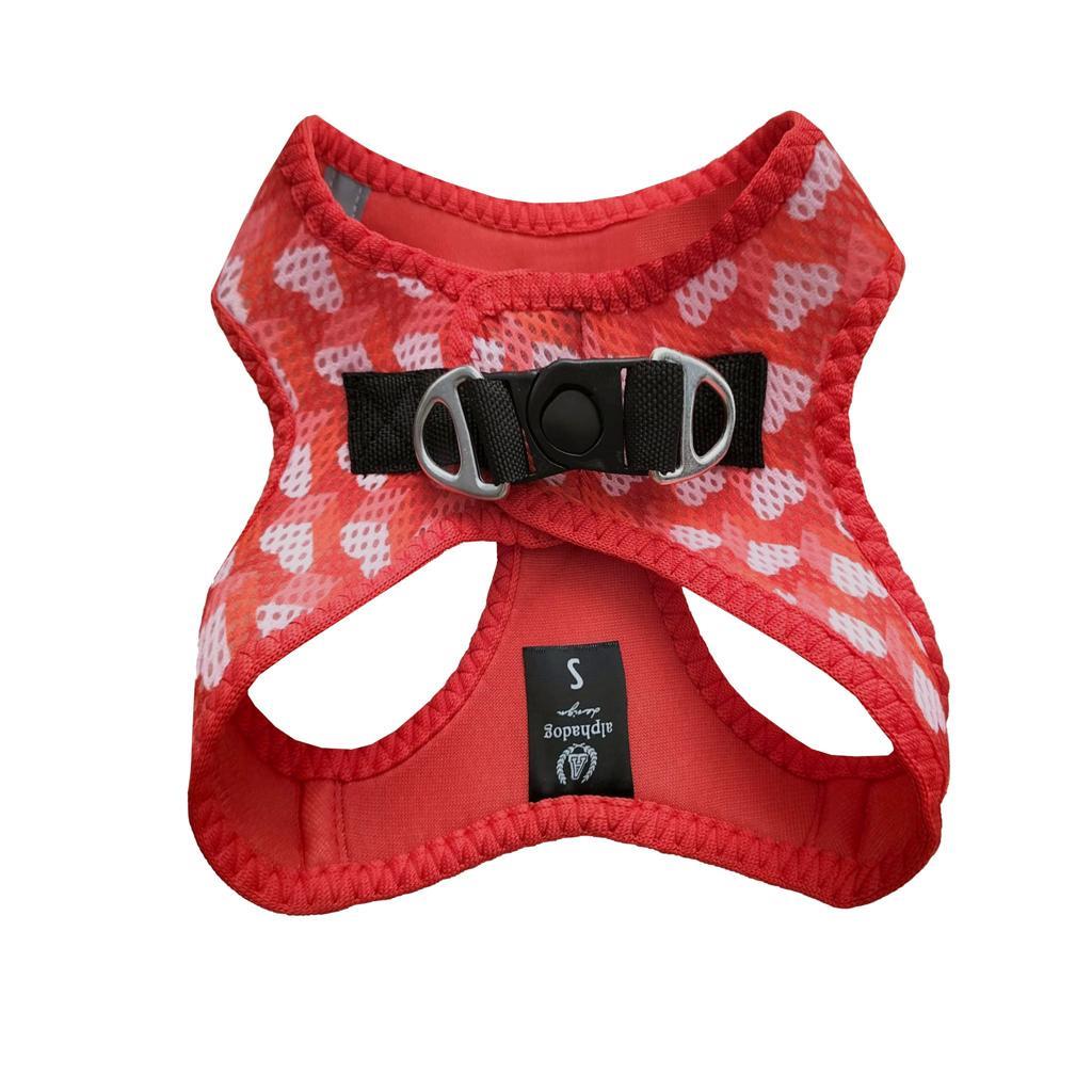 Alphadog Design Lover Köpek Göğüs Tasması