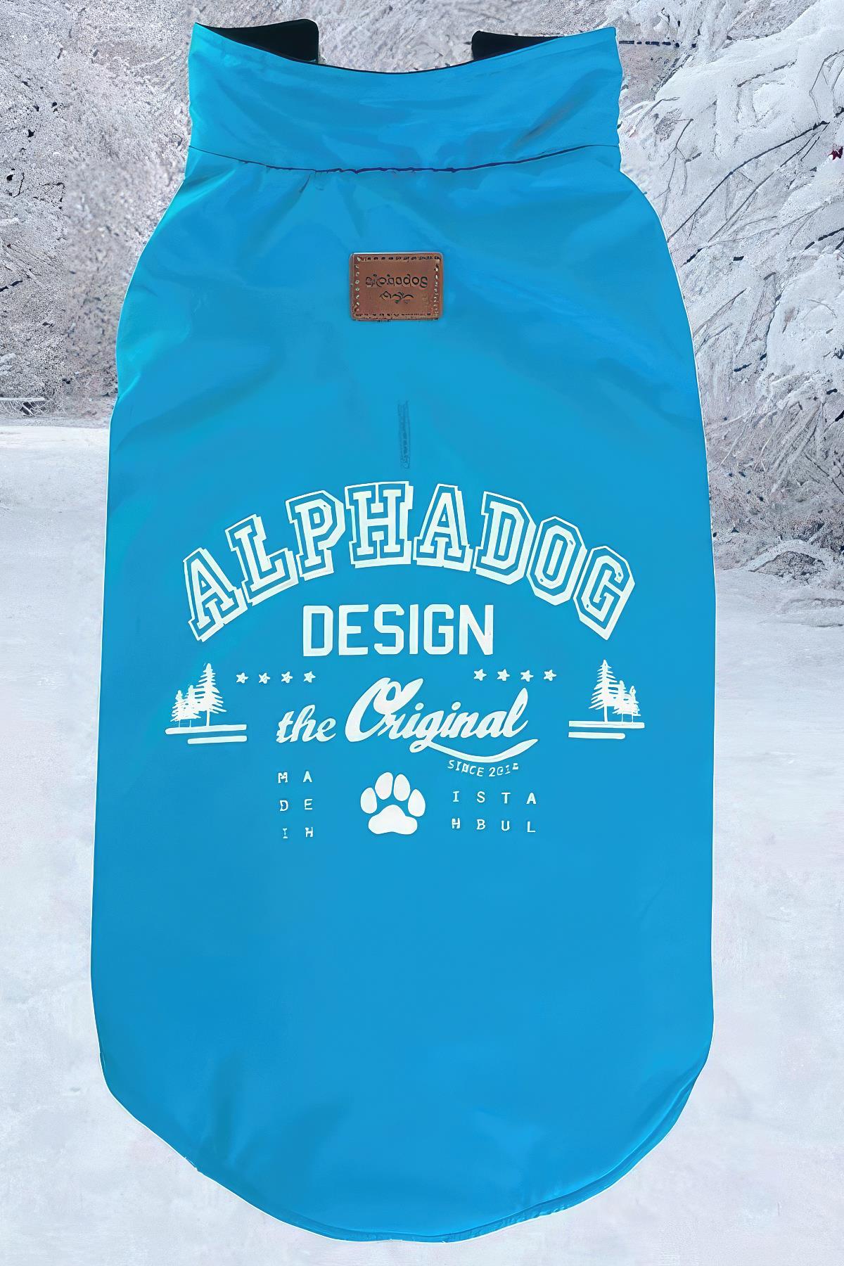 Alphadog Design Original Dog Rain Raisin Blue
