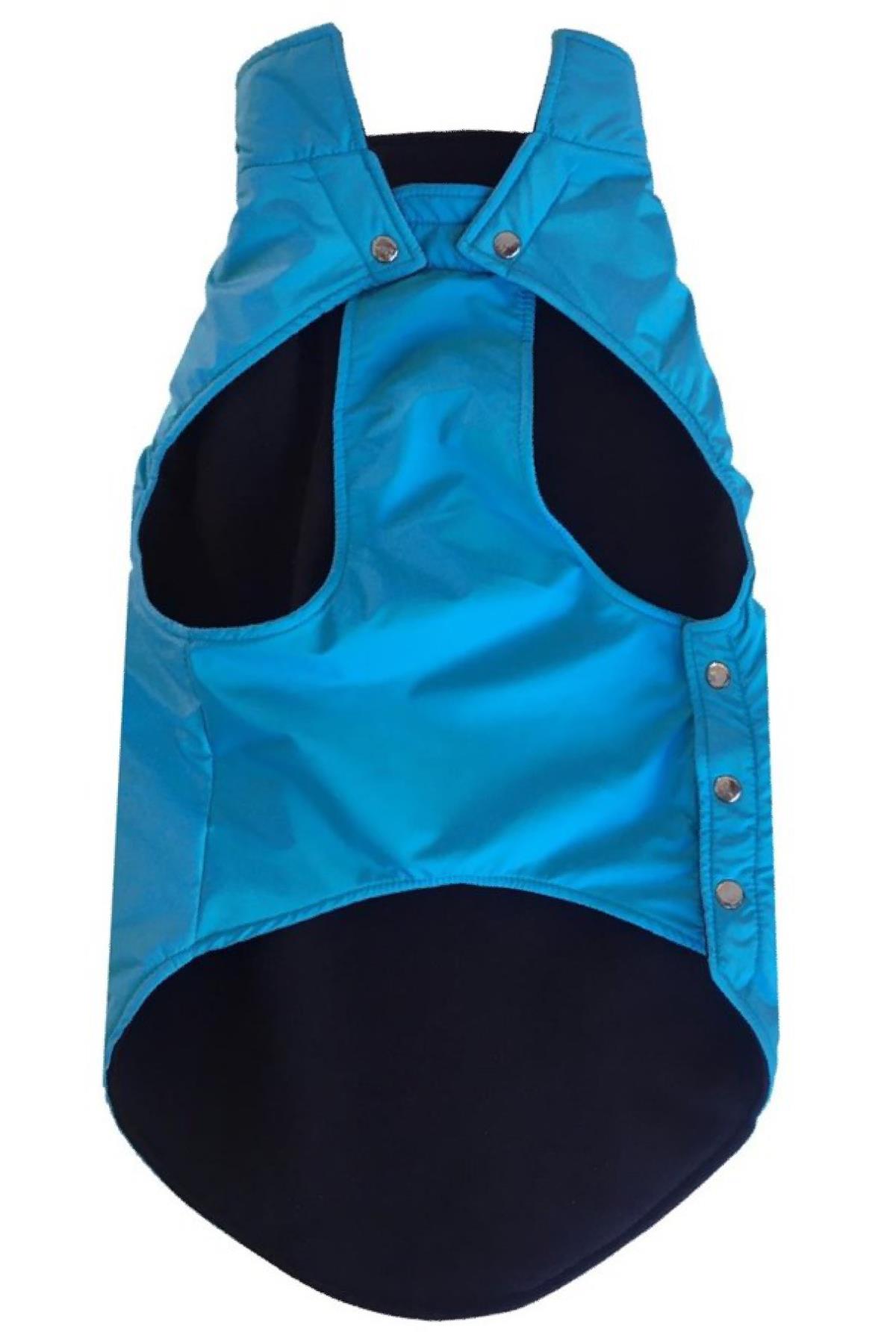 Alphadog Design Original Dog Rain Raisin Blue