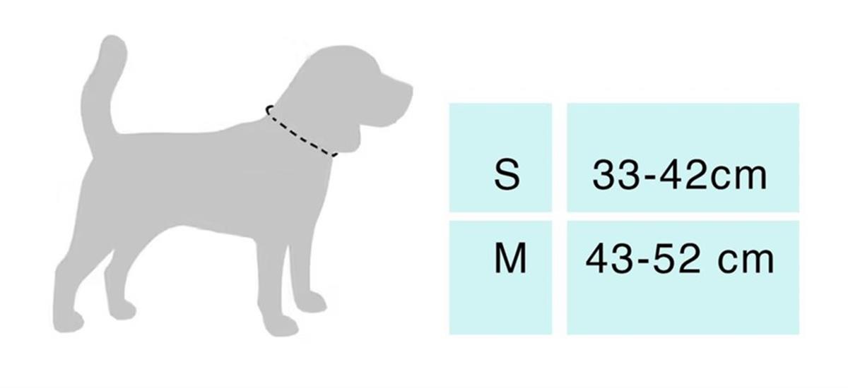 Alphadog Design Player Blue Bandana