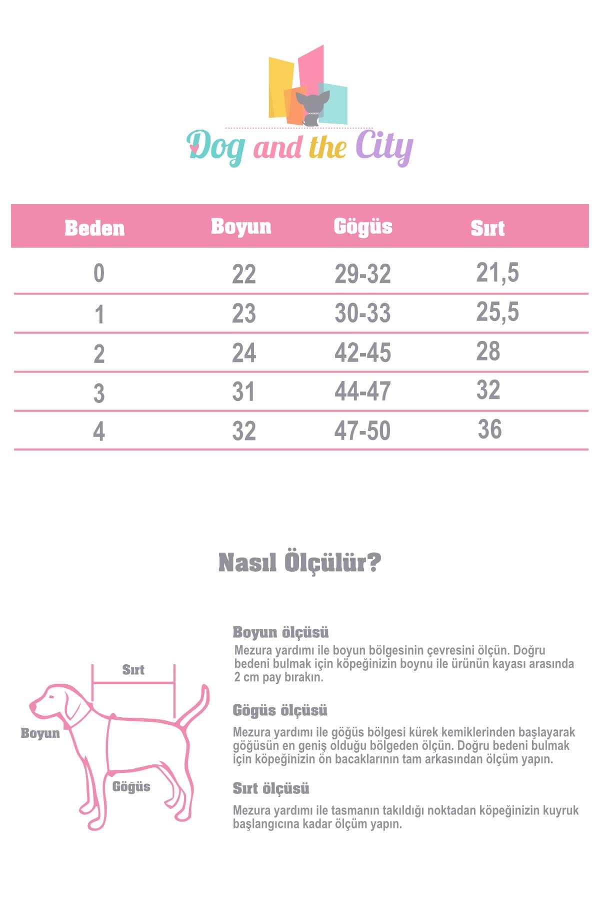 Alphadog Design Witch Tulum