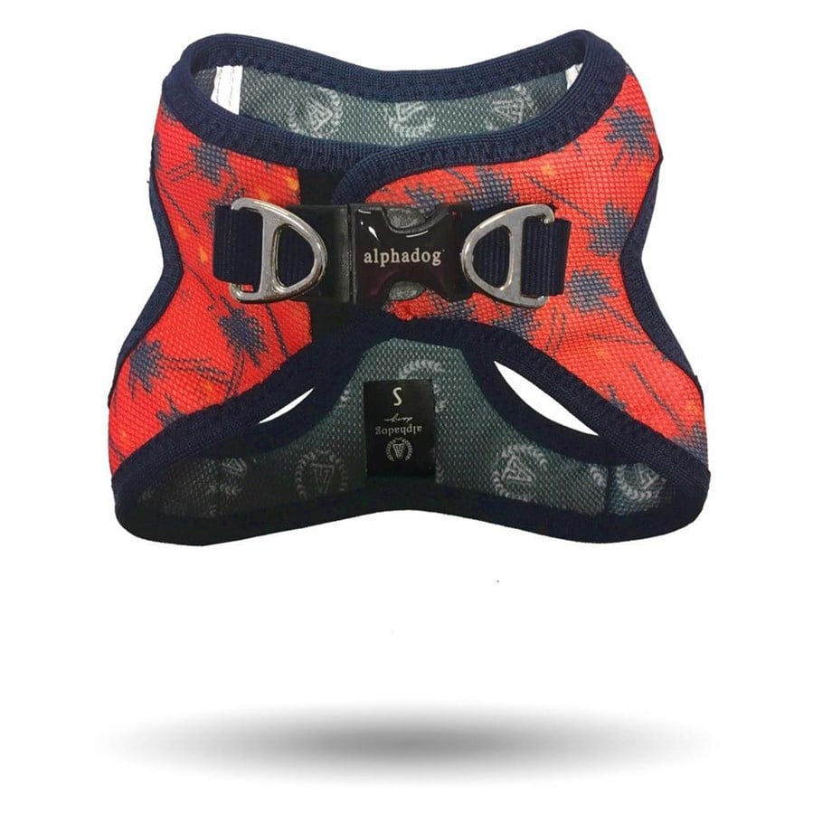 Alphadog Palms Köpek Göğüs Tasması