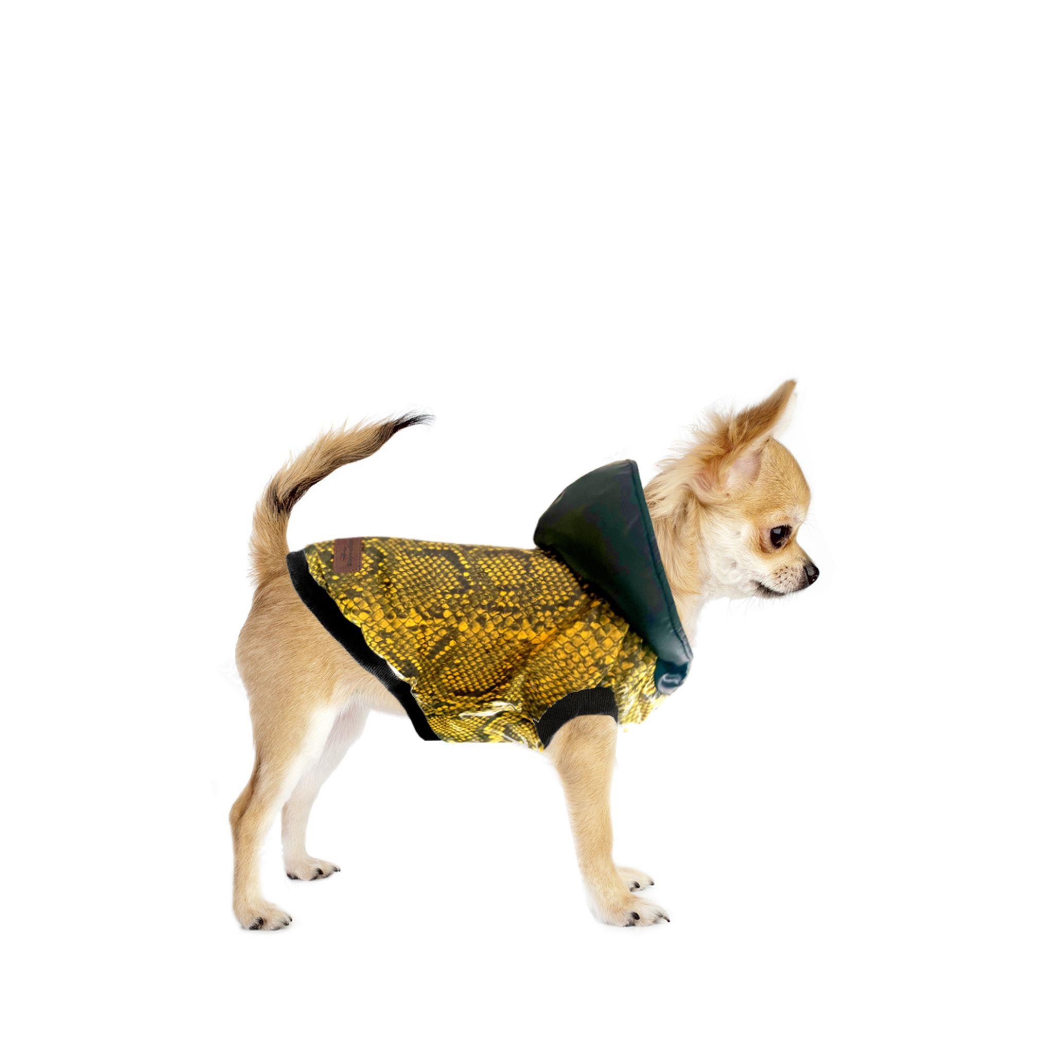 Alphadog Snake Köpek Montu