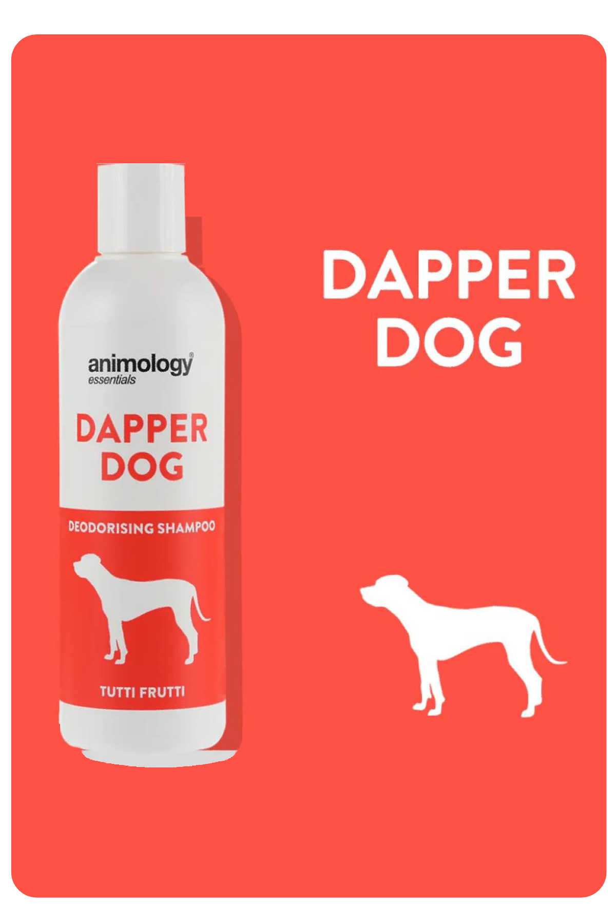 animology-essentials-dapper-dog-shampo-06b8a0.png
