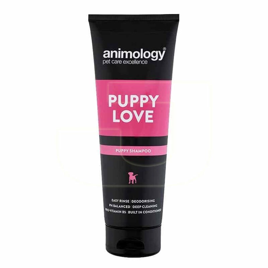 Animology Puppy Love Yavru Köpekler için Şampuan