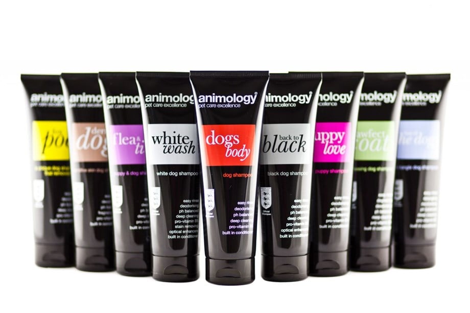 Animology True Colors Renk Koruyucu Köpek Şampuanı