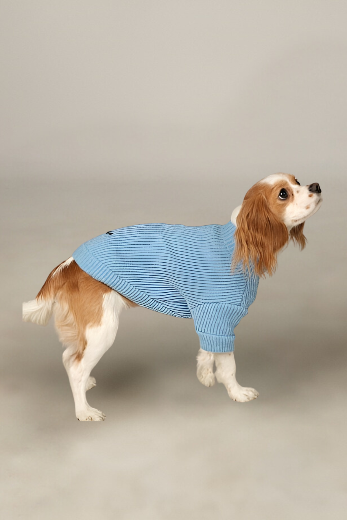 Apac.co Basic Mavi Triko Köpek Kazağı