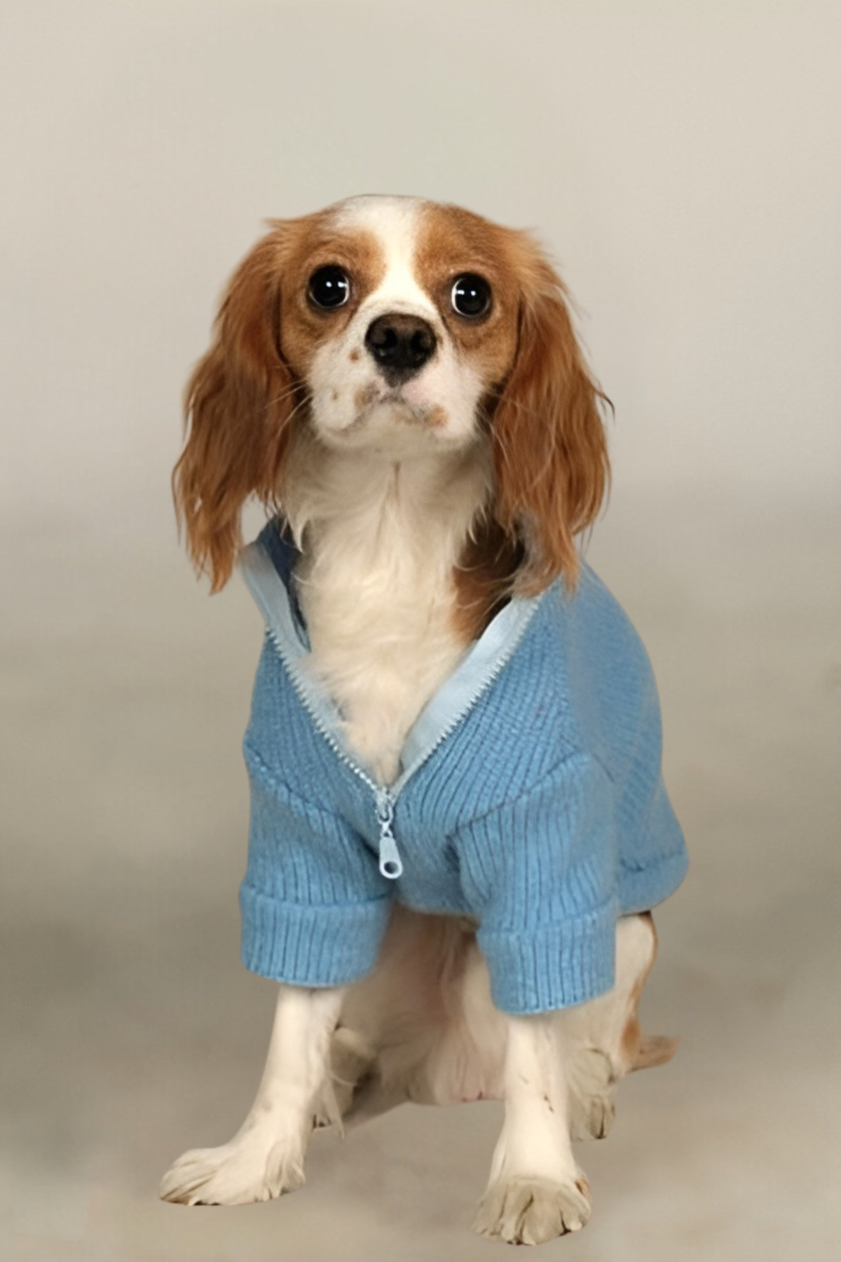 Apac.co Basic Mavi Triko Köpek Kazağı