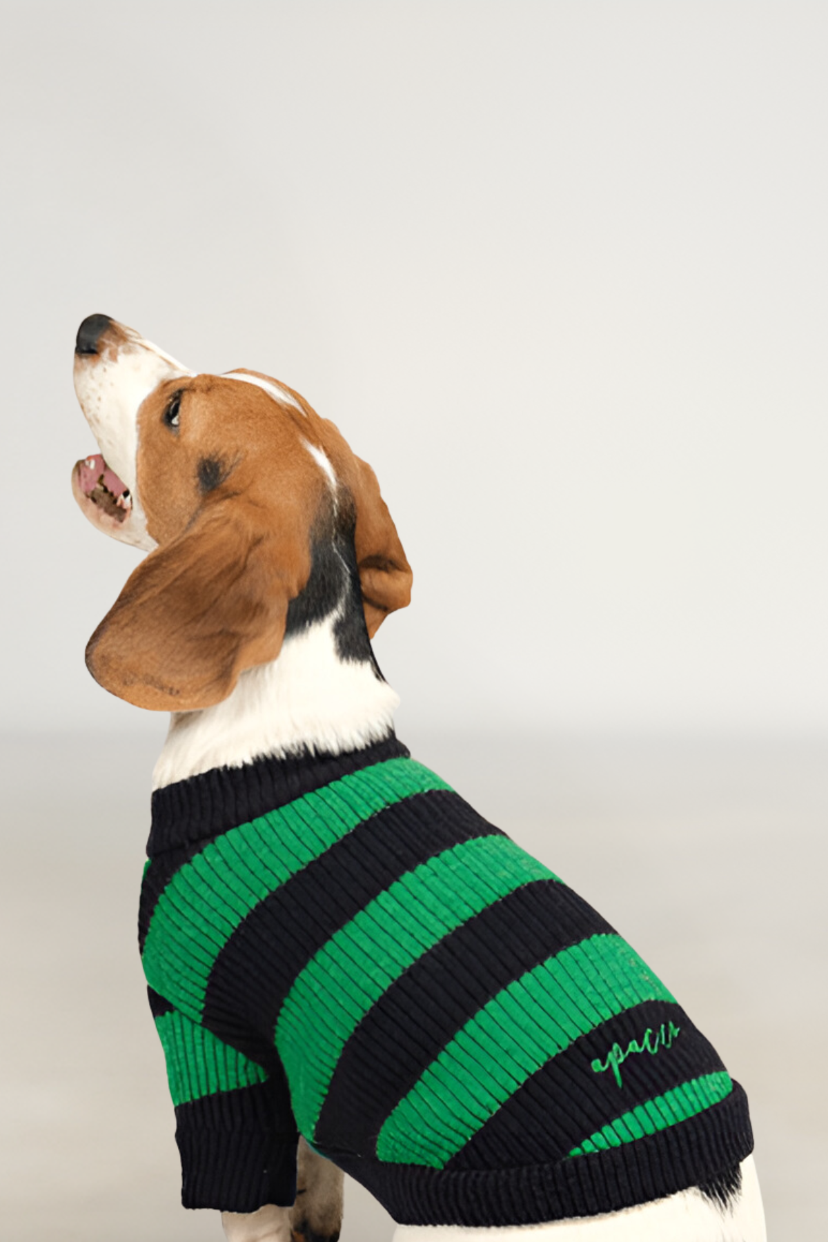 Apac.co Dalton Lacivert Yeşil Çizgili Köpek Kazağı