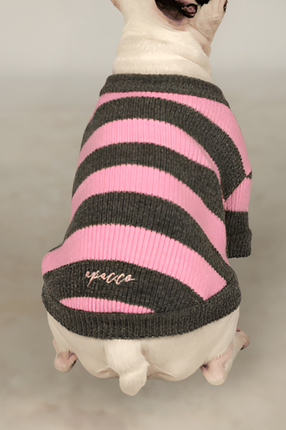 Apac.co Dalton Pembe Gri Çizgili Köpek Kazağı