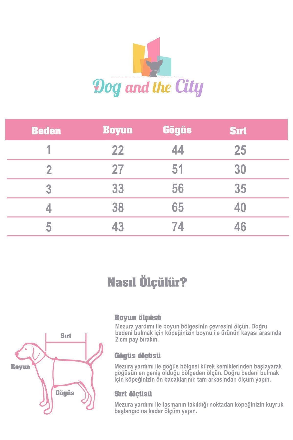 Apac.co Dalton Pembe Gri Çizgili Köpek Kazağı