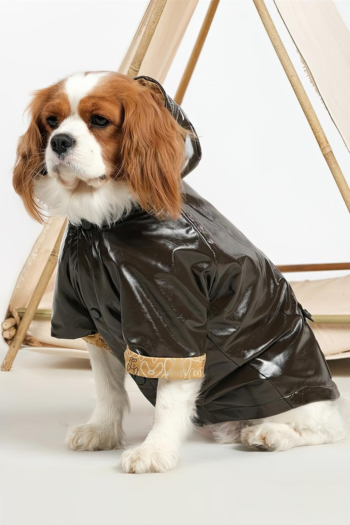 Apac.co Chic Amazon Haki Rugan Köpek Yağmurluk