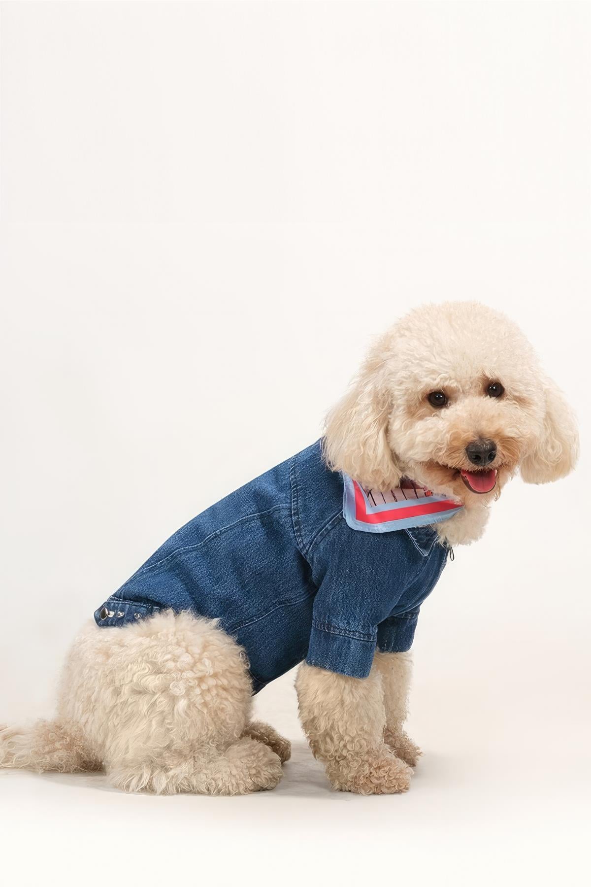 Apac.co Rompy Denim Köpek Ceket