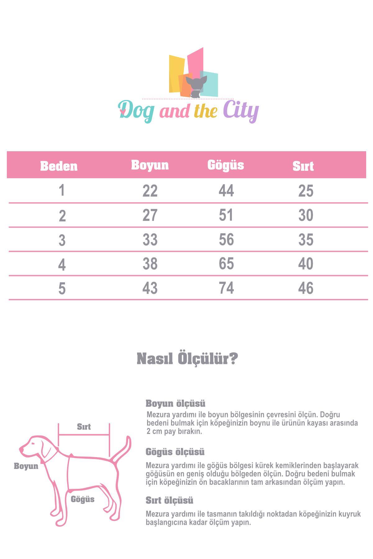 Apac.co Rompy Denim Köpek Ceket