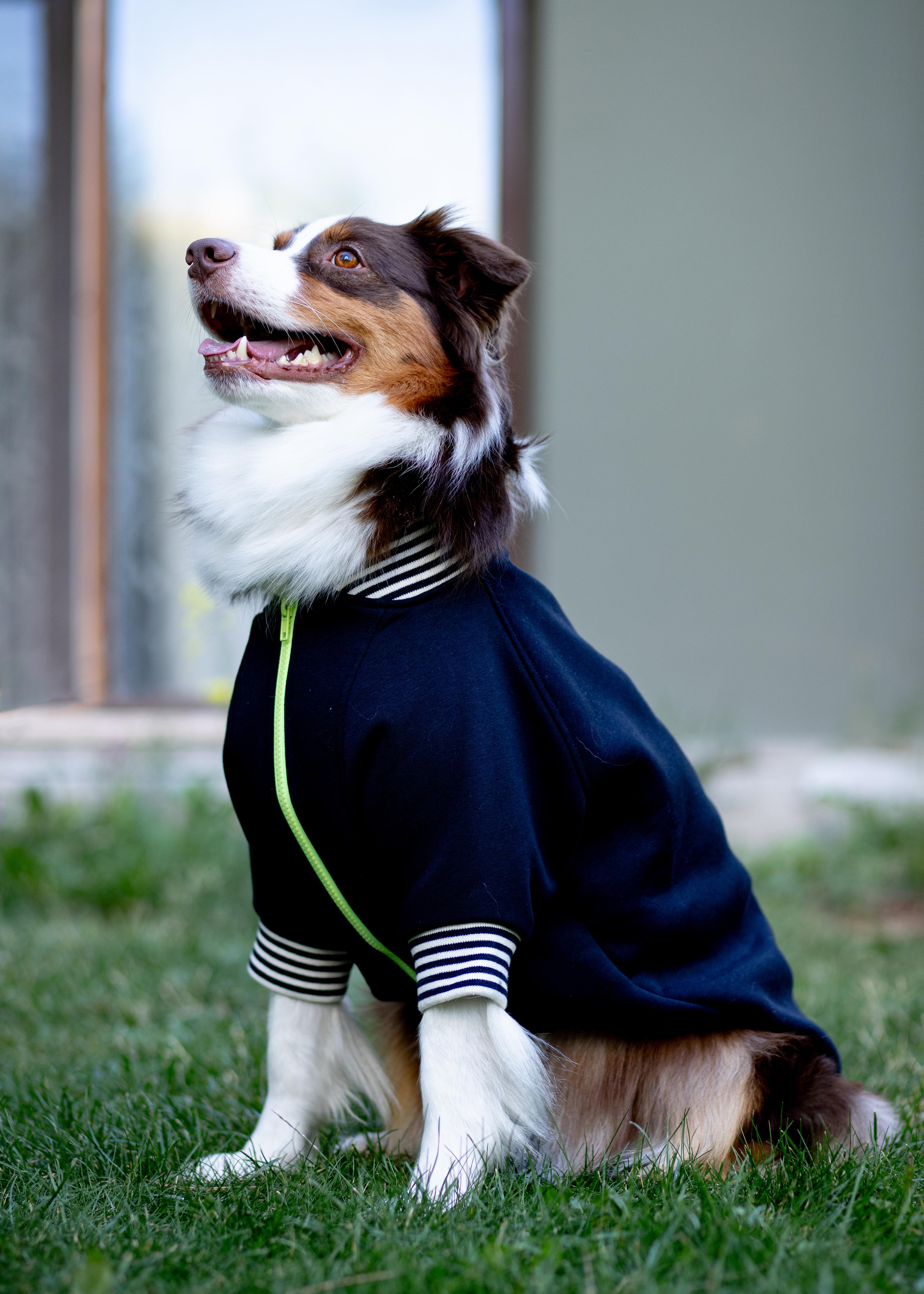 Asky and Erd Bomber Jacket | Midnight Blue Köpek Ceketi